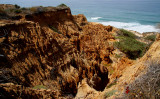 TOREY PINES STATE PARK