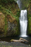 Multnomah Falls