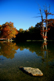 ROCK ON AUTUMN