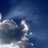 WIND BENEATH MY WINGS