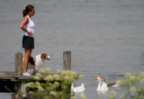 ADMIRING THE GEESE OR VICE VERSA