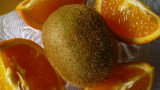 kiwi fruit and oranges