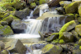 Same view but different shutter speed and apture.