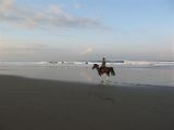horse back riding on the beach in Bali