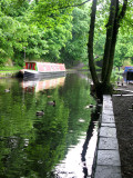 Narrowboat and some Ducks