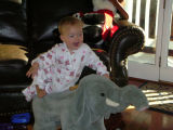 sidesaddle.JPG