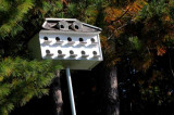 September on the Au Sable 37