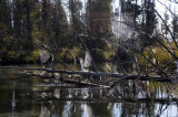 On Marl Lake 49