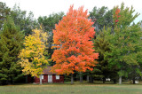 Higgins Lake 90  57