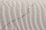 White Sands National Monument