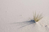 White Sands National Monument