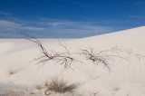 White Sands National Monument