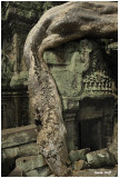 Ta Prohm