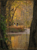 Autumn on the C&O