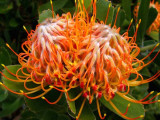 62- Pincushions