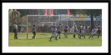 DSC_6272-p-p-p.jpg
