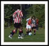 DSC_6338-p-p-p.jpg