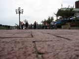 ants eye view.jpg