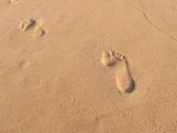 sandprints.jpg