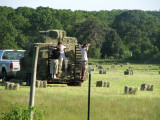 Hay Relay.jpg