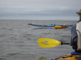 IMG_2207_1.JPG