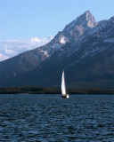 Sailboat on Lake Jackson Vertical.jpg