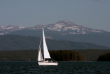 Sailboat on Lake Jackson with Signal Mountain.jpg