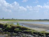 Air Boat Ride