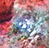 The Trapezium zoomed right in