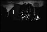House and trees at night