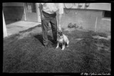 Image from 127 Kodak Verichrome Pan film found in Brownie Holiday camera