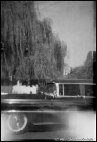 Image from 620 Verichrome Pan film found in Kodak Vigilant