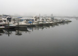 Charles River: Yachts & Fog