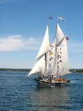 Windjammer in Boothbay Harbor