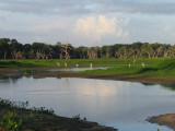 Daybreak in Alligator Hole