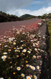 Sur la route du Piton de La Fournaise