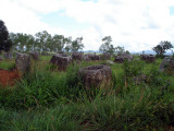 Plain of Jars