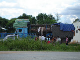 Selling pigs off truck in Xieng Khoang
