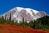 Mt Rainer fall colors