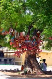 Superstition and cradles, Kamakshi Amman temple, Kanchipuram, India