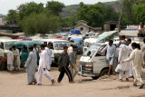 Minibuses