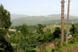 Village