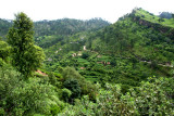 Village