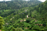 Village