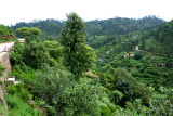 Village