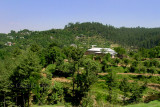 Village