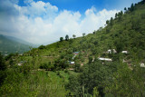 Village
