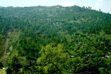 Villages