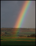 Rain near Balaguer - Catalonia / Spain