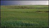 Bad weather coming - Balaguer, Catalonia / Spain